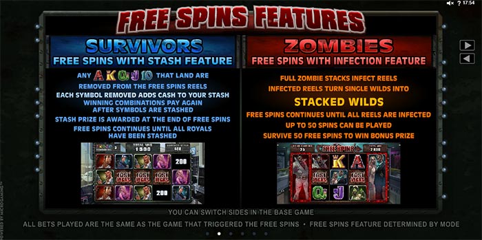 free spin freature